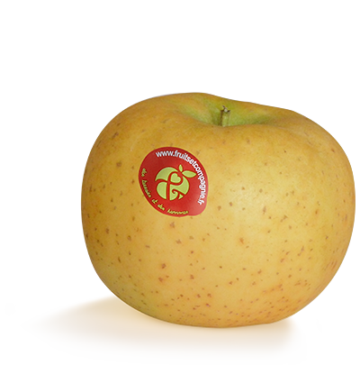 Pomme Chantecler - pommes Fruit &compagnie
