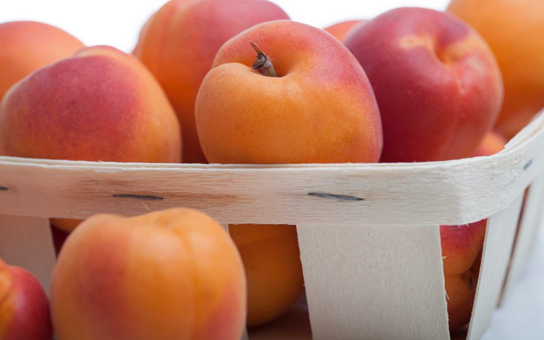 barquette d'abricots Fruits&compagnie